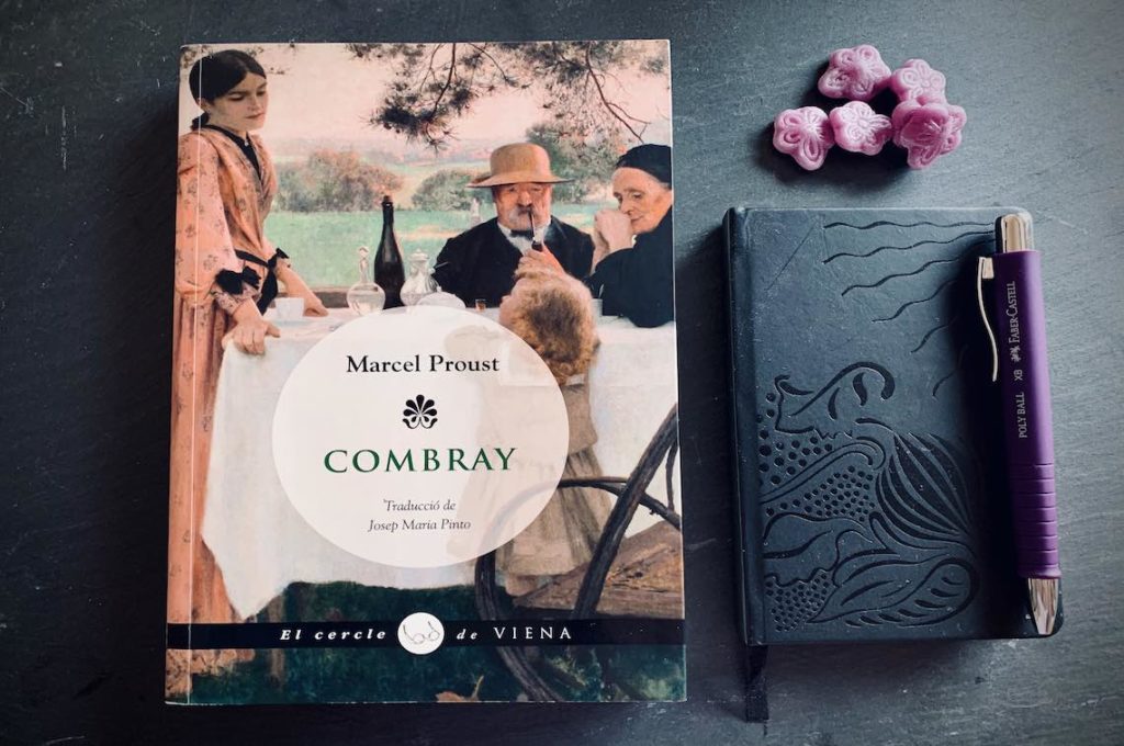 Combray Marcel Proust Cristina Redondo Edicions Viena