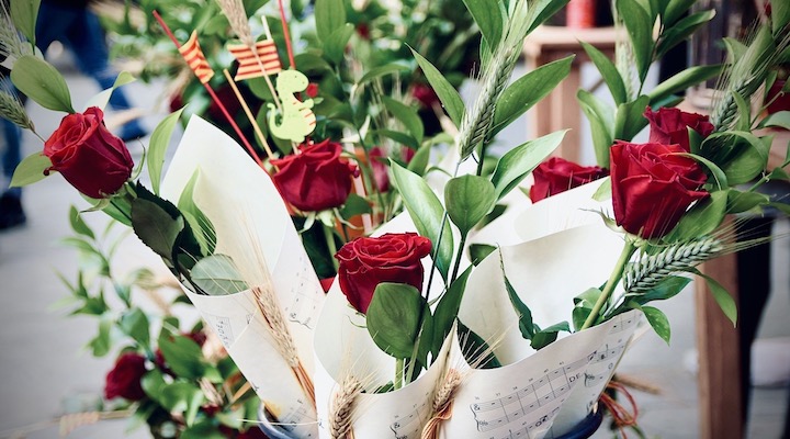 rosa de sant jordi